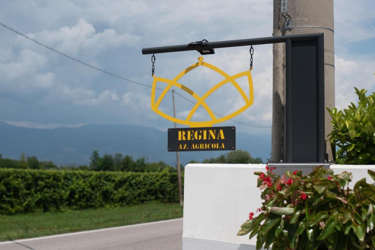 Codognè Regina Nel Cuore Del Veneto מראה חיצוני תמונה
